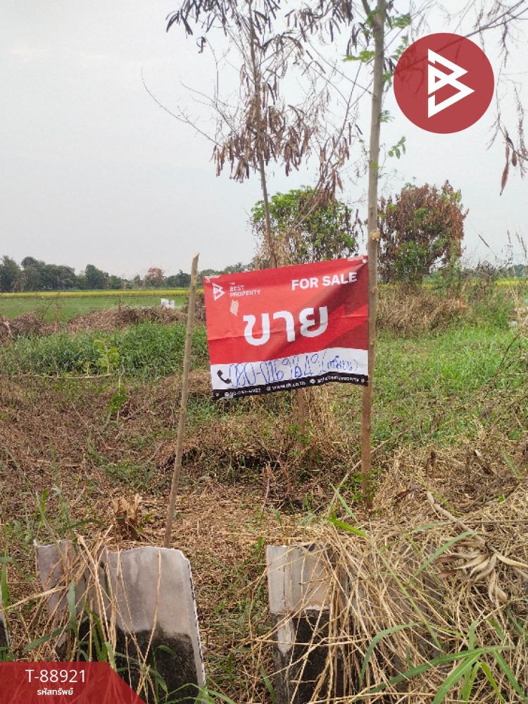 For SaleLandPathum Thani,Rangsit, Thammasat : Land for sale, already filled, area 50 square meters, Bueng Bon 24, Nong Suea, Pathum Thani.