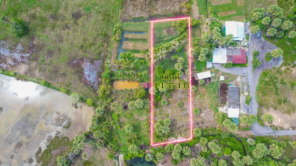 ขายที่ดินหัวหิน ประจวบคีรีขันธ์ : ที่ดิน 535 ตารางวา 6500 บาท ต่อ ตารางวา สี่แยกปราณบุรี ทะเล8กม.