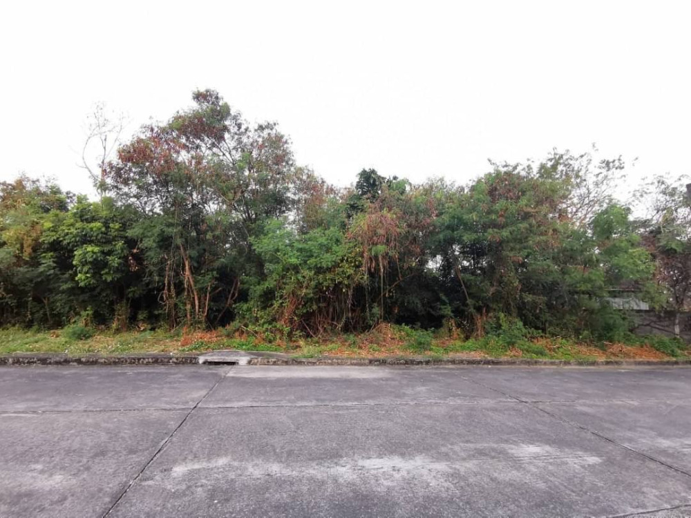 ขายบ้านพัฒนาการ ศรีนครินทร์ : Land for sale in Panya Village Pattanakarn 30: 297sqwah 53,500,000 Am: 0656199198
