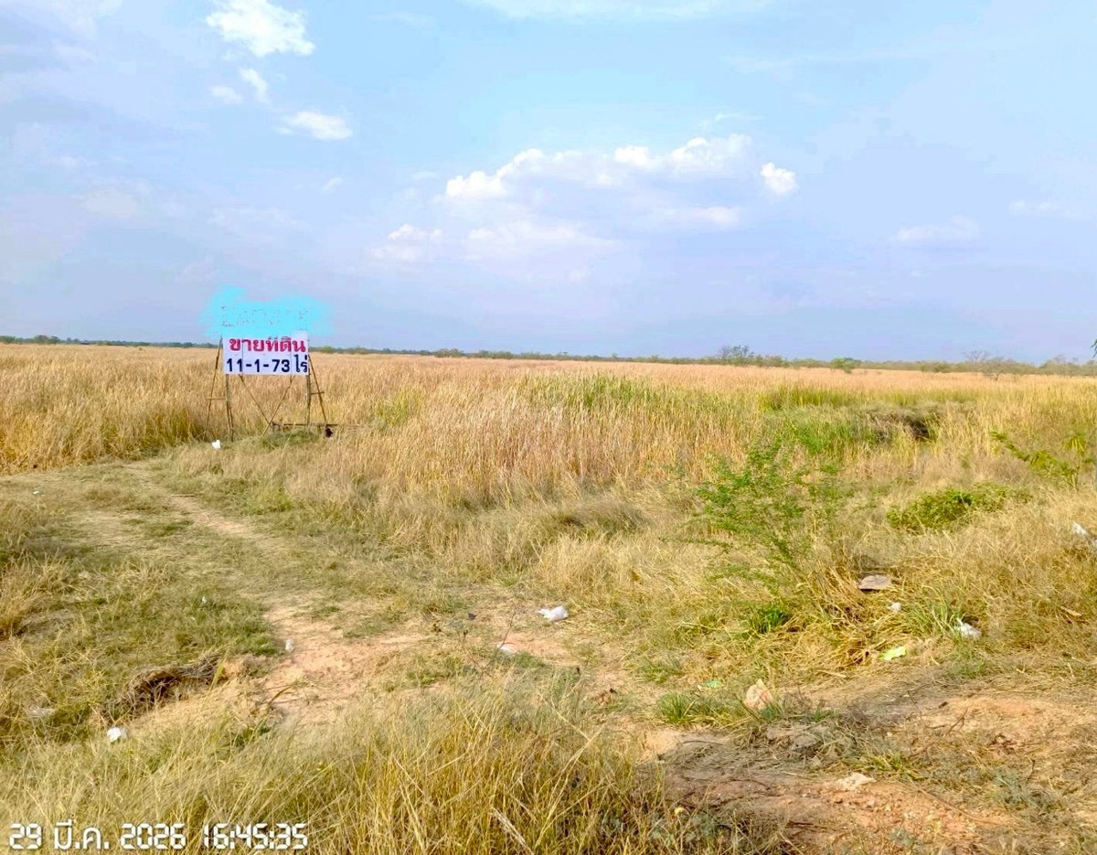 ขายที่ดินโคราช นครราชสีมา : ขายที่ดินติดถนนใหญ่ 11 ไร่ วงแหวนโคราช เหนือ2 ถนน209  ไร่ละ1.2 ล้าน