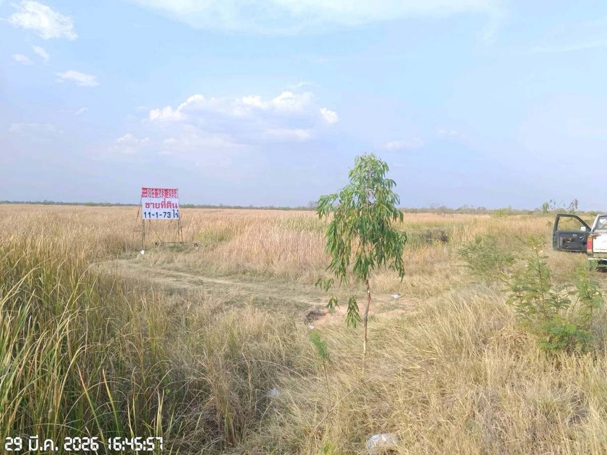 ขายที่ดินโคราช นครราชสีมา : ขายที่ดินติดถนนใหญ่ 11 ไร่ วงแหวนโคราช เหนือ2 ถนน209  ไร่ละ1.2 ล้าน