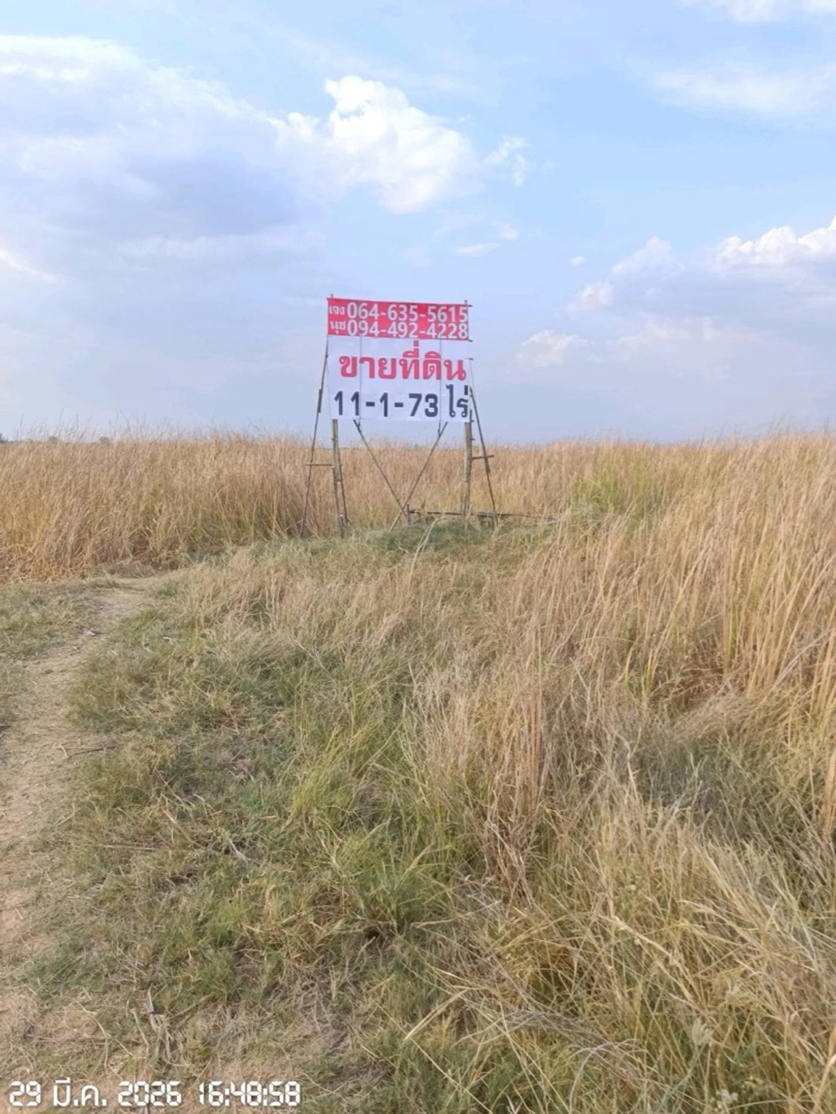 ขายที่ดินโคราช นครราชสีมา : ขายที่ดินติดถนนใหญ่ 11 ไร่ วงแหวนโคราช เหนือ2 ถนน209  ไร่ละ1.2 ล้าน