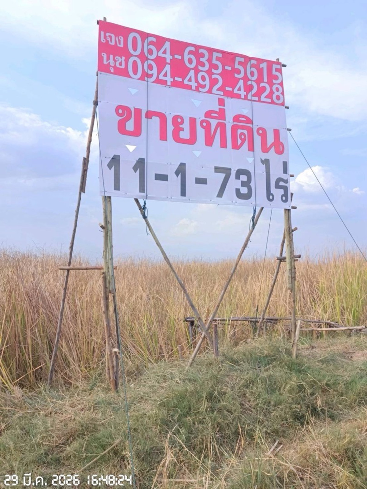 ขายที่ดินโคราช นครราชสีมา : ขายที่ดินติดถนนใหญ่ 11 ไร่ วงแหวนโคราช เหนือ2 ถนน209  ไร่ละ1.2 ล้าน