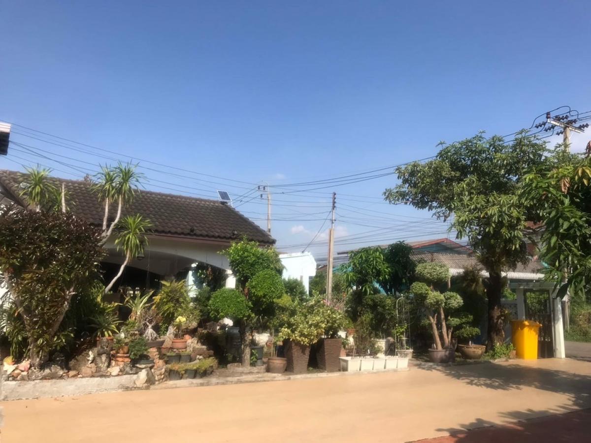 For SaleHouseVipawadee, Don Mueang, Lak Si : 📢👇For sale: 2 detached houses and an office building. Can live and do business Spacious land shady with ornamental trees and fruit trees, opposite Don Mueang Airport. Not in the line of takeoff and landing of the plane No airplane noise, convenient travel
