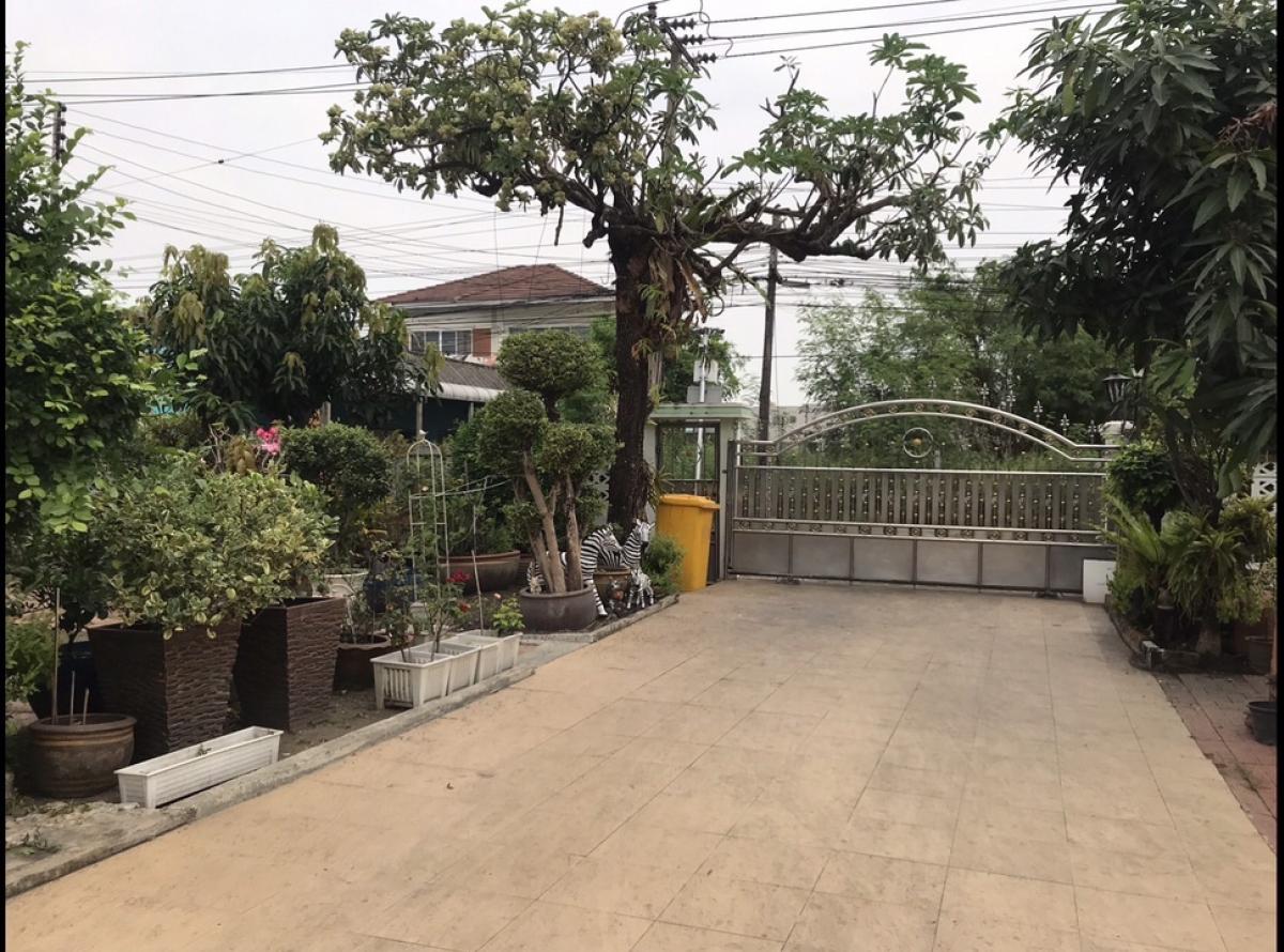 For SaleHouseVipawadee, Don Mueang, Lak Si : 📢👇For sale: 2 detached houses and an office building. Can live and do business Spacious land shady with ornamental trees and fruit trees, opposite Don Mueang Airport. Not in the line of takeoff and landing of the plane No airplane noise, convenient travel
