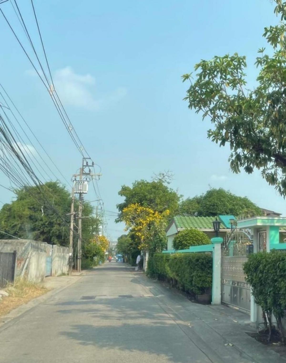 For SaleHouseVipawadee, Don Mueang, Lak Si : 📢👇For sale: 2 detached houses and an office building. Can live and do business Spacious land shady with ornamental trees and fruit trees, opposite Don Mueang Airport. Not in the line of takeoff and landing of the plane No airplane noise, convenient travel