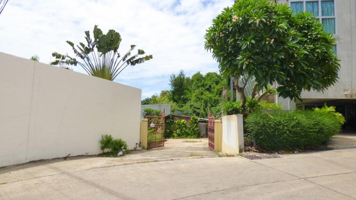 For SaleLandPattaya, Bangsaen, Chonburi : Owner Sale Land For Sale: Pratamnak Hill 262 Sq.Wah