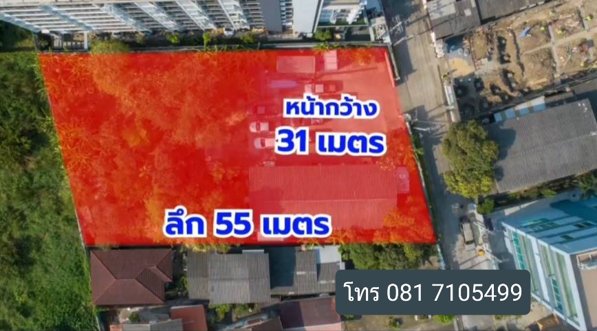 ขายที่ดินอ่อนนุช อุดมสุข : ขายที่ดินสุขุมวิท50 ใกล้ BTS และทางด่วน ขนาด 431 ตร.วา ซอยแสงอุทัย เหมาะสร้างบ้าน , สำนักงาน , คอนโด , อพาร์ทเมนท์ , หรือพัฒนาโครงการอื่นๆ