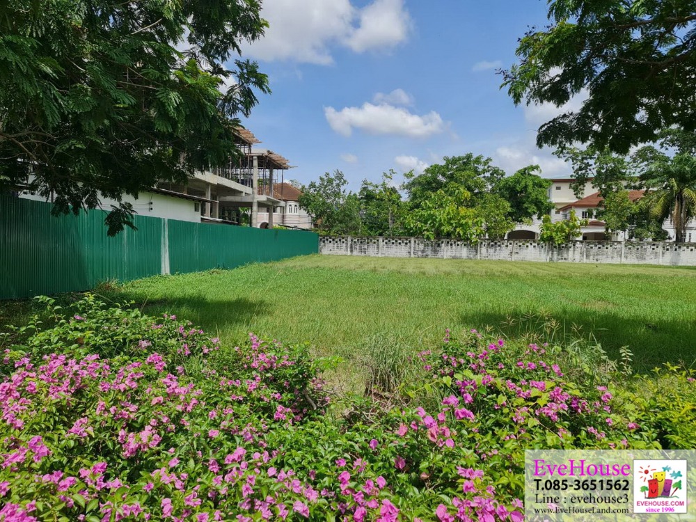 ขายที่ดินบางนา แบริ่ง ลาซาล : ขายที่ดิน หมู่บ้านวินด์มิลล์พาร์ค บางนา กม.10.5 ไพรเวทโซน 409 ตารางวา ราคา 90,000 บาท/ตารางวา สภาพแวดล้อมดีมาก ปลอดภัย ร่มรื่น แวดล้อมไปด้วยบ้านเดี่ยวขนาดใหญ่
