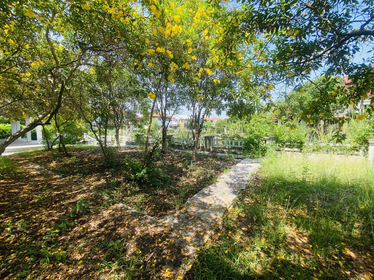 ขายที่ดินปทุมธานี รังสิต ธรรมศาสตร์ : เมืองเอก โครงการ5 ขายเท่าราคาประเมิน 12.9 ล้านบาท ขายที่ดินหมู่บ้านเมืองเอก โครงการ5 แถมบ้านเดี่ยว 2 ชั้น หลังใหญ่ให้ 1 หลัง