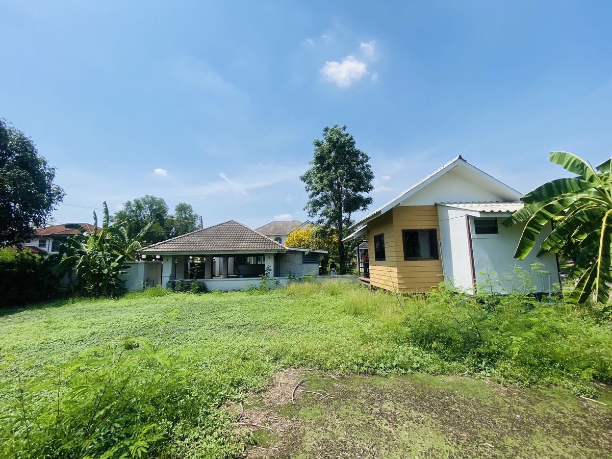 ขายที่ดินปทุมธานี รังสิต ธรรมศาสตร์ : เมืองเอก โครงการ5 ขายเท่าราคาประเมิน 12.9 ล้านบาท ขายที่ดินหมู่บ้านเมืองเอก โครงการ5 แถมบ้านเดี่ยว 2 ชั้น หลังใหญ่ให้ 1 หลัง