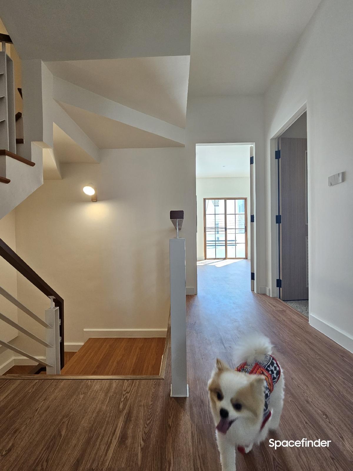 ขายทาวน์โฮมรามคำแหง หัวหมาก : ขายบ้านทำเล พระราม 9 ใกล้ The Nineขนาด 20 ตร.วา หน้ากว้าง 5 เมตร แบบ 3 ห้องนอน 3 ห้องน้ำ Renovate แล้ว บ้านหัวมุมเจ้าของขายเอง ราคา 8.9 ล้านรบกวนติดต่อ 0610474444