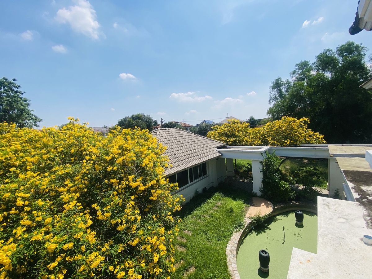 ขายที่ดินปทุมธานี รังสิต ธรรมศาสตร์ : เมืองเอก โครงการ5 ขายเท่าราคาประเมิน 12.9 ล้านบาท ขายที่ดินหมู่บ้านเมืองเอก โครงการ5 แถมบ้านเดี่ยว 2 ชั้น หลังใหญ่ให้ 1 หลัง