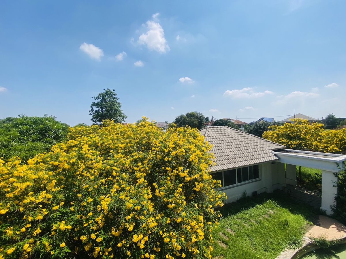 ขายที่ดินปทุมธานี รังสิต ธรรมศาสตร์ : เมืองเอก โครงการ5 ขายเท่าราคาประเมิน 12.9 ล้านบาท ขายที่ดินหมู่บ้านเมืองเอก โครงการ5 แถมบ้านเดี่ยว 2 ชั้น หลังใหญ่ให้ 1 หลัง