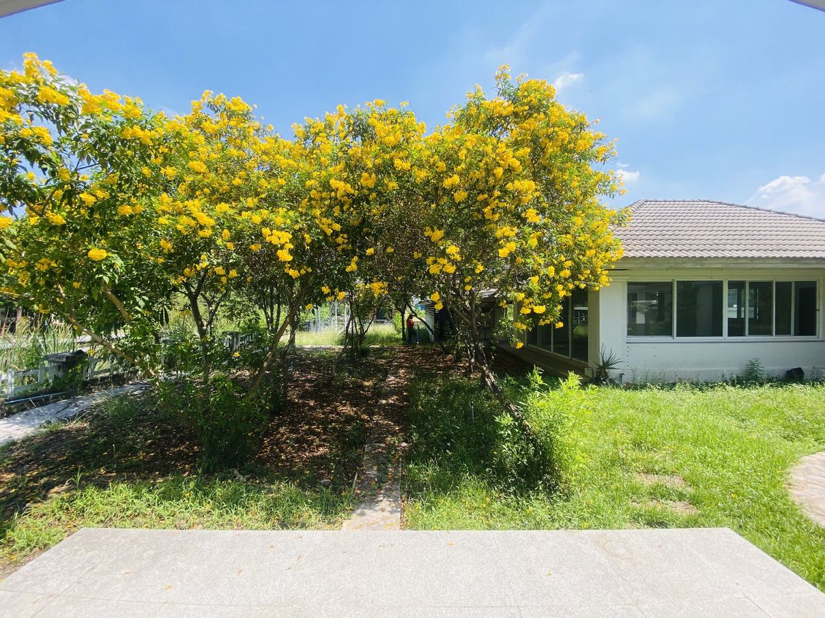 ขายที่ดินปทุมธานี รังสิต ธรรมศาสตร์ : เมืองเอก โครงการ5 ขายเท่าราคาประเมิน 12.9 ล้านบาท ขายที่ดินหมู่บ้านเมืองเอก โครงการ5 แถมบ้านเดี่ยว 2 ชั้น หลังใหญ่ให้ 1 หลัง