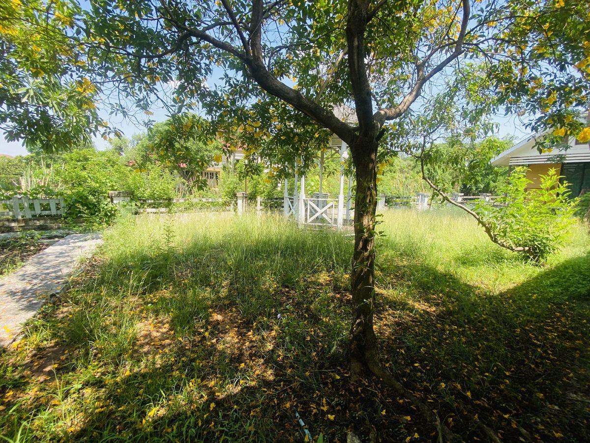 ขายที่ดินปทุมธานี รังสิต ธรรมศาสตร์ : เมืองเอก โครงการ5 ขายเท่าราคาประเมิน 12.9 ล้านบาท ขายที่ดินหมู่บ้านเมืองเอก โครงการ5 แถมบ้านเดี่ยว 2 ชั้น หลังใหญ่ให้ 1 หลัง