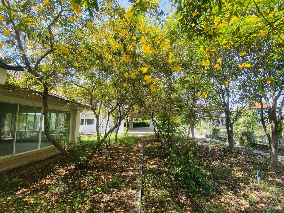 ขายที่ดินปทุมธานี รังสิต ธรรมศาสตร์ : เมืองเอก โครงการ5 ขายเท่าราคาประเมิน 12.9 ล้านบาท ขายที่ดินหมู่บ้านเมืองเอก โครงการ5 แถมบ้านเดี่ยว 2 ชั้น หลังใหญ่ให้ 1 หลัง