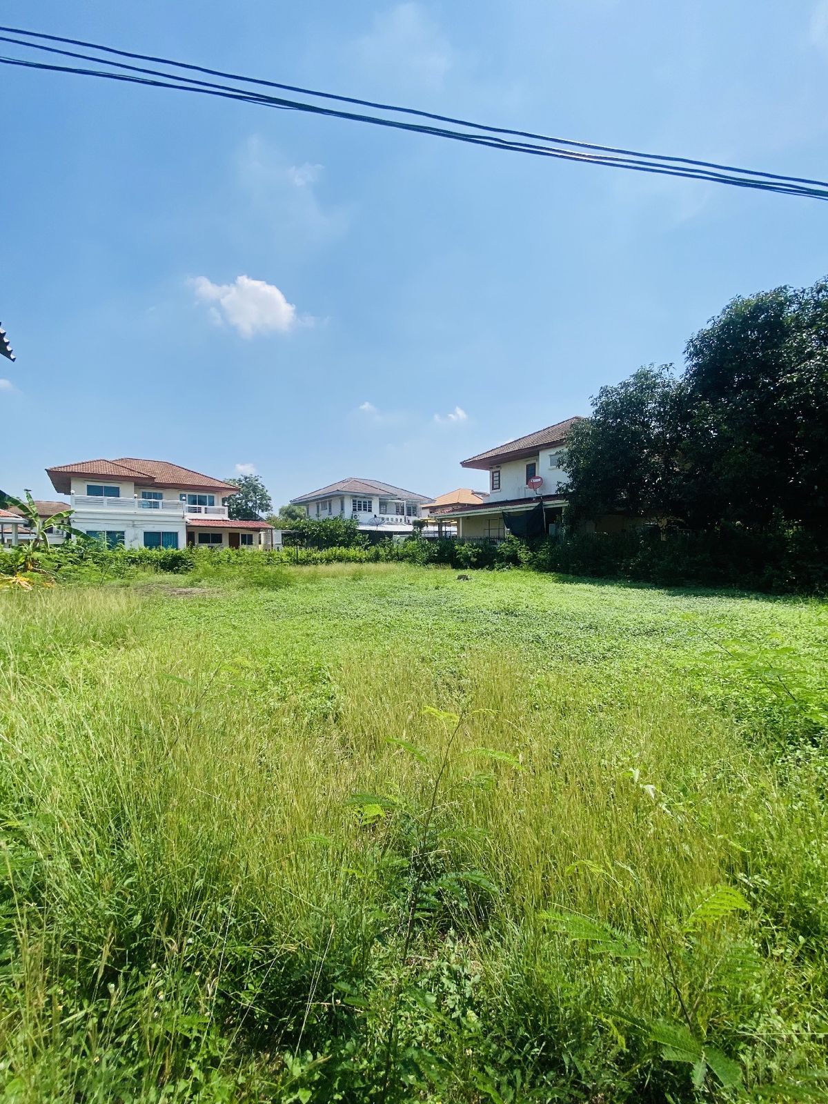 ขายที่ดินปทุมธานี รังสิต ธรรมศาสตร์ : เมืองเอก โครงการ5 ขายเท่าราคาประเมิน 12.9 ล้านบาท ขายที่ดินหมู่บ้านเมืองเอก โครงการ5 แถมบ้านเดี่ยว 2 ชั้น หลังใหญ่ให้ 1 หลัง