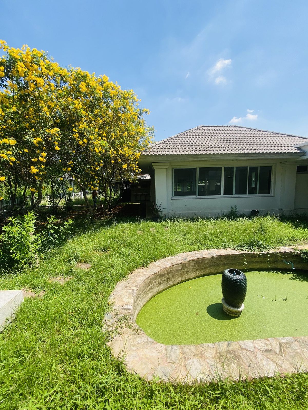 ขายที่ดินปทุมธานี รังสิต ธรรมศาสตร์ : เมืองเอก โครงการ5 ขายเท่าราคาประเมิน 12.9 ล้านบาท ขายที่ดินหมู่บ้านเมืองเอก โครงการ5 แถมบ้านเดี่ยว 2 ชั้น หลังใหญ่ให้ 1 หลัง