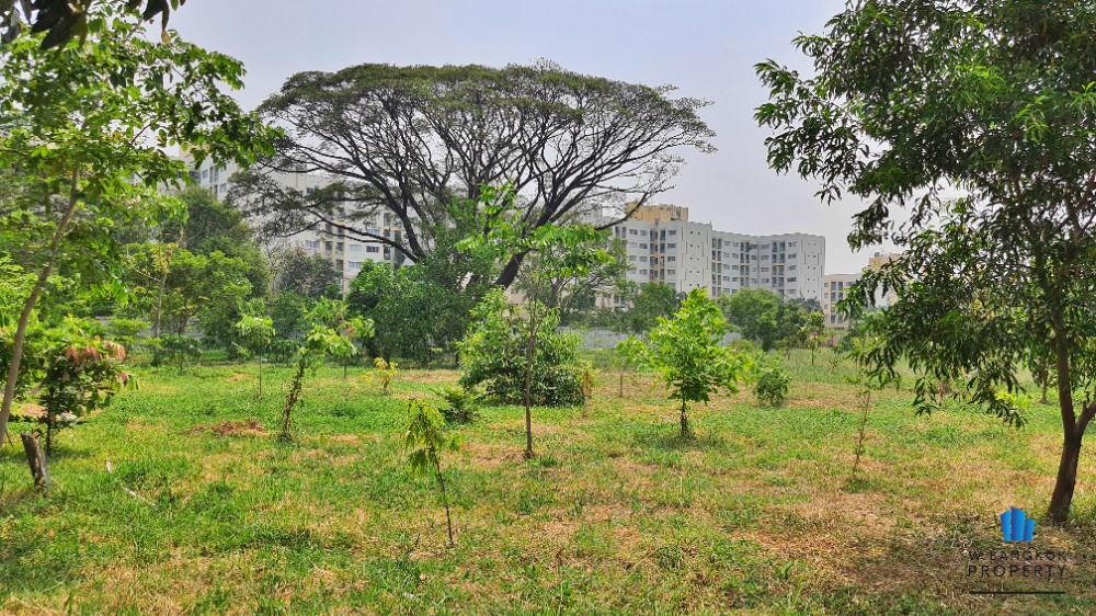 ขายที่ดินเสรีไทย-นิด้า : ขายที่ดินเปล่า 16-2-51 ไร่ ถมแล้ว ติดถนนเสรีไทย ฝั่งขาเข้า ใกล้ NIDA แขวงคลองกุ่ม เขตบึงกุ่ม กรุงเทพ