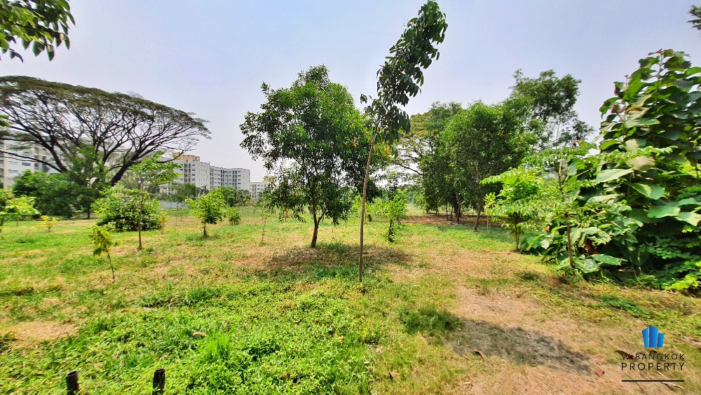 ขายที่ดินเสรีไทย-นิด้า : ขายที่ดินเปล่า 16-2-51 ไร่ ถมแล้ว ติดถนนเสรีไทย ฝั่งขาเข้า ใกล้ NIDA แขวงคลองกุ่ม เขตบึงกุ่ม กรุงเทพ