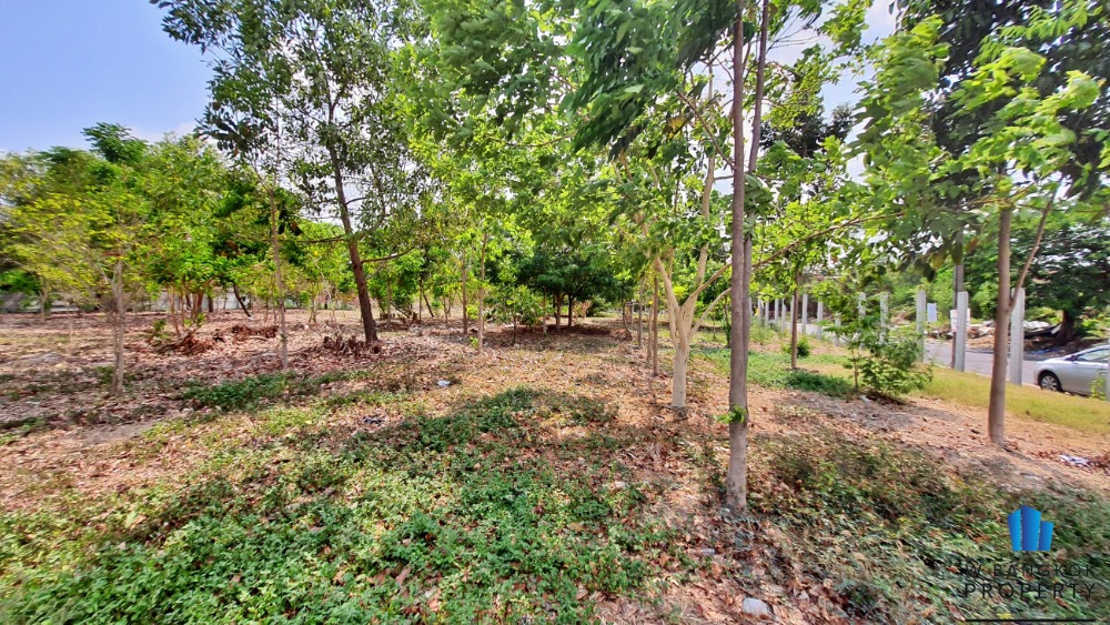 For SaleLandNawamin, Ramindra : Land for sale, 10-0-0 rai, already filled, Soi Watcharaphon, Sai Mai District