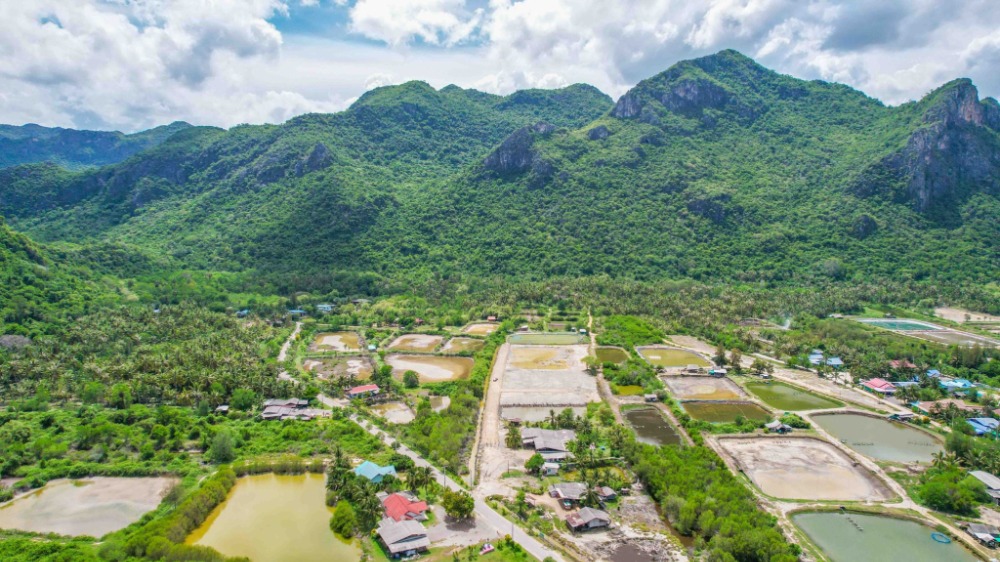 ขายที่ดินหัวหิน ประจวบคีรีขันธ์ : ที่ดินสวย วิวหุบเขา ชมพระอาทิตย์ตกดิน สามร้อยยอด