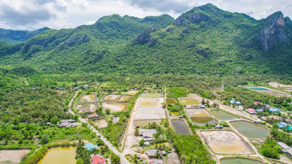 ขายที่ดินหัวหิน ประจวบคีรีขันธ์ : ที่ดินสวย วิวหุบเขา ชมพระอาทิตย์ตกดิน สามร้อยยอด