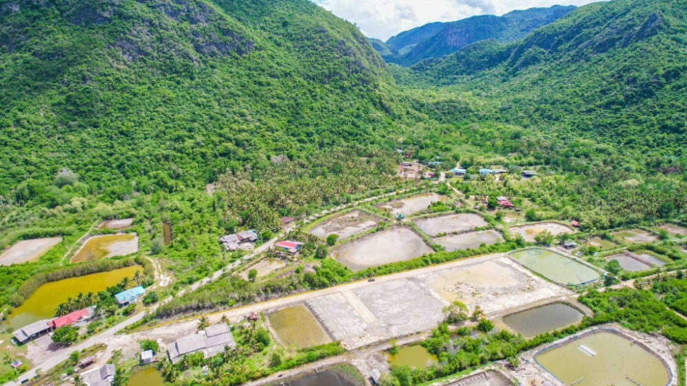 ขายที่ดินหัวหิน ประจวบคีรีขันธ์ : ที่ดินสวย วิวหุบเขา ชมพระอาทิตย์ตกดิน สามร้อยยอด