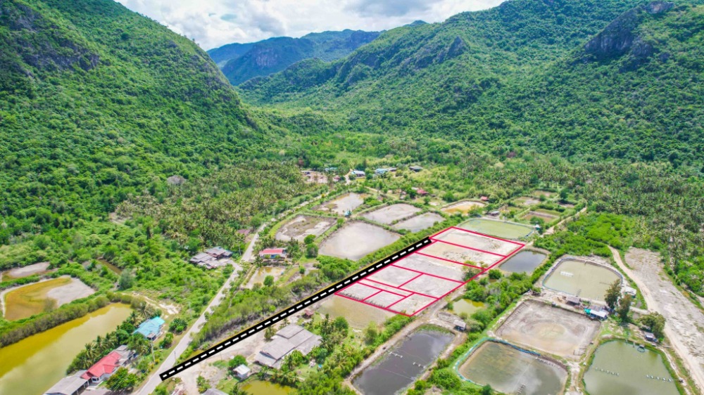 For SaleLandHuahin, Prachuap Khiri Khan, Pran Buri : Beautiful land, watching the beautiful sunset through the valley everyday at Sam Roi Yot