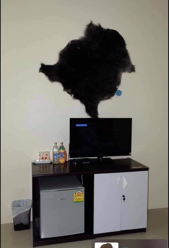 For SaleHotel&Apartment BusinessCha-am Phetchaburi : For sale: 6-room bungalow business with 114 sq.w. of land, Cha-am Beach, Phetchaburi, only 100 m. from the beach.