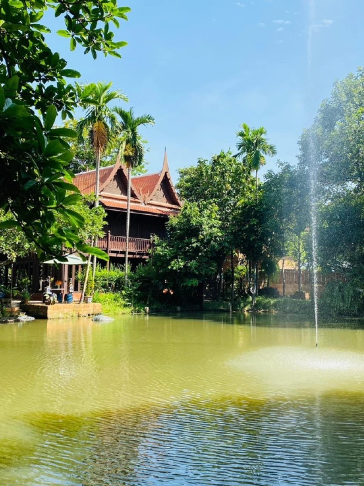For SaleHouseNakhon Pathom : For sale: Thai style house, cafe, Nakhon Pathom, 9 rai of land