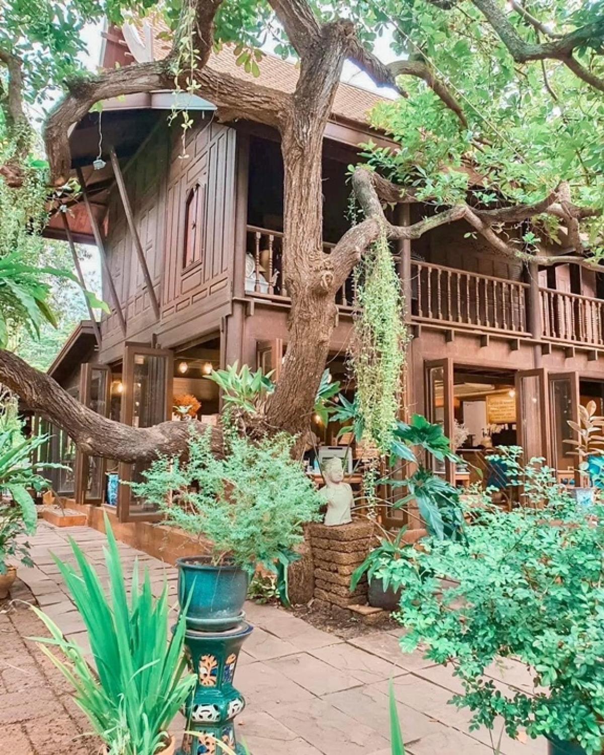 For SaleHouseNakhon Pathom : For sale: Thai style house, cafe, Nakhon Pathom, 9 rai of land