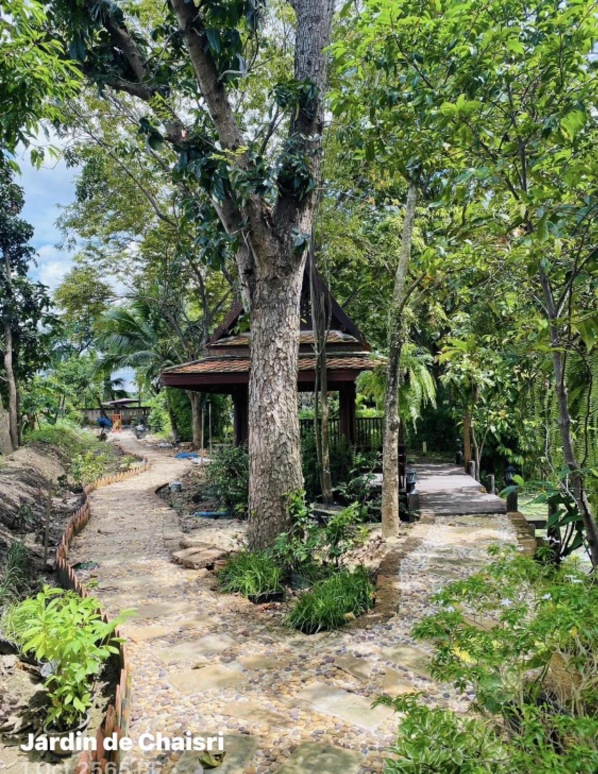 For SaleHouseNakhon Pathom : For sale: Thai style house, cafe, Nakhon Pathom, 9 rai of land