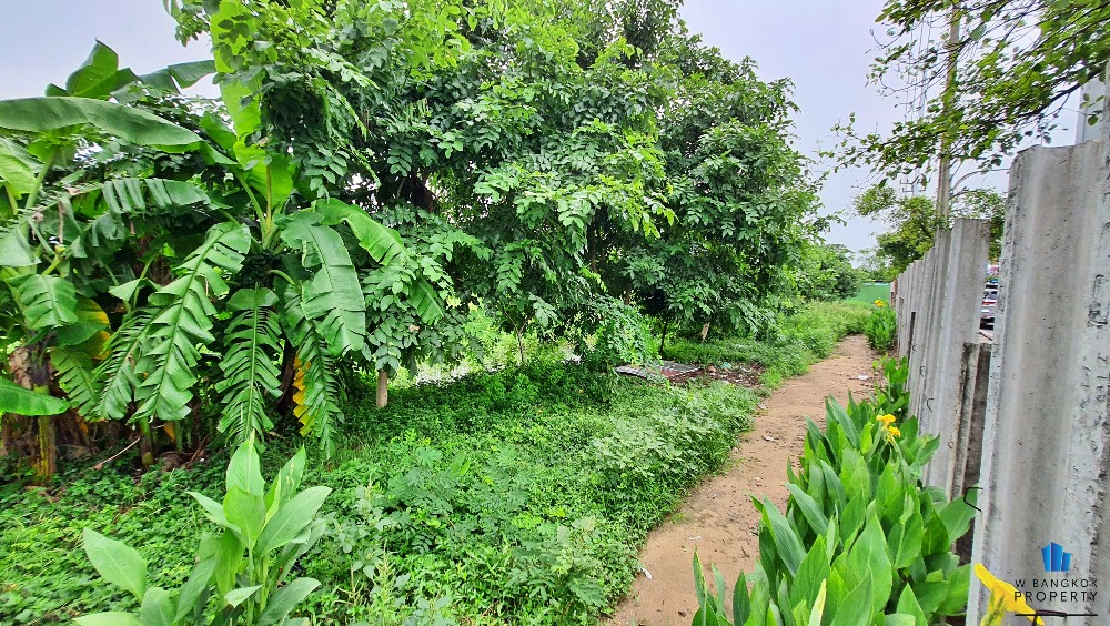 ขายที่ดินนวมินทร์ รามอินทรา : ขายที่ดินเปล่า 7-2-10 ไร่ ติดถนนเลียบคลองสอง แขวงบางชัน เขตคลองสามวา กรุงเทพฯ