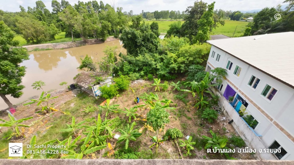 ขายอาคารพาณิชย์ระยอง : ขายด่วน อาคารพาณิชย์ 3 ชั้น 20 ตรว. ตรงข้าม รร.ระยองปัญญานุกูล