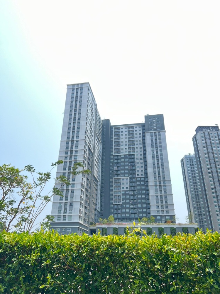 Sale DownCondoSamut Prakan,Samrong : Condo Near BTS below 2 MB The Trust Erawan For foreigner- River view