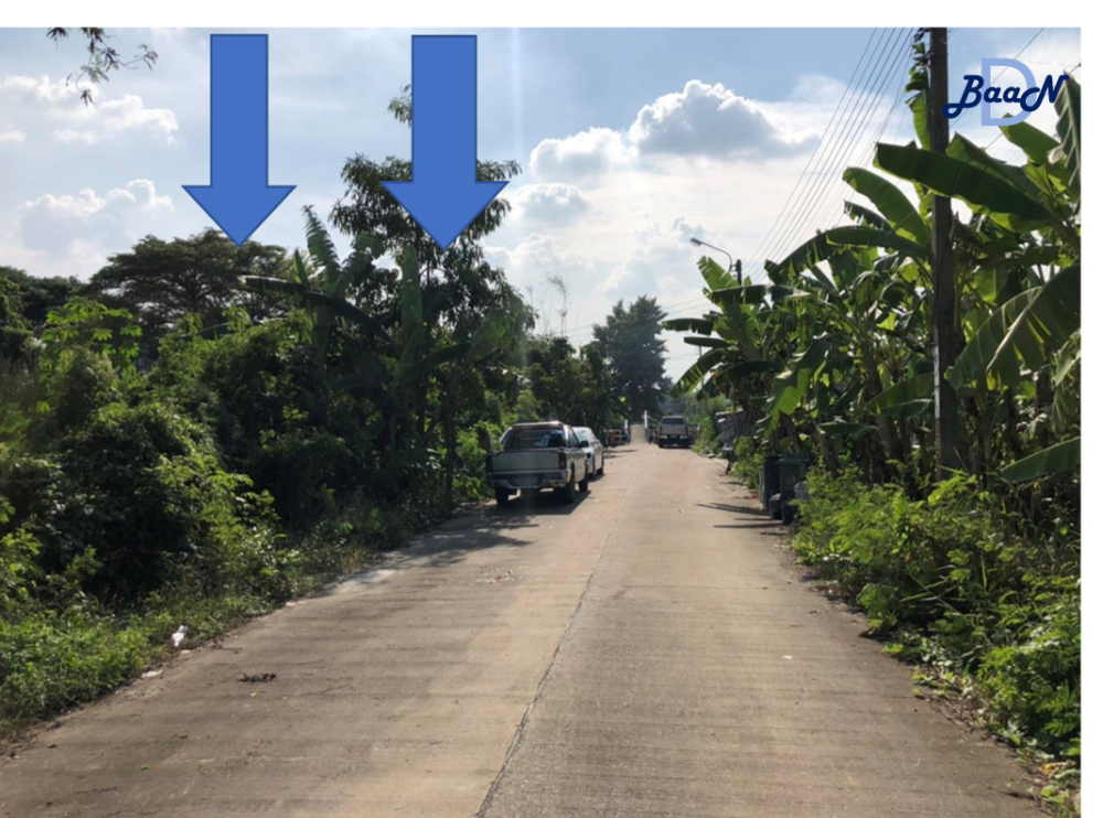 For SaleLandPhutthamonthon, Salaya : Land for sale at Phutthamonthon Sai 3, Soi 19