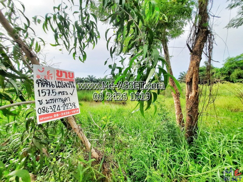 For SaleLandPathum Thani,Rangsit, Thammasat : Empty land for sale in the area of ​​Soi Mankanuka, Khlong Sip, Bueng Thonglang, Lam Luk Ka, Pathum Thani: near Wat Phirunsart: 2 adjacent plots, each plot 157.5 sq wah : CODE NN-91341