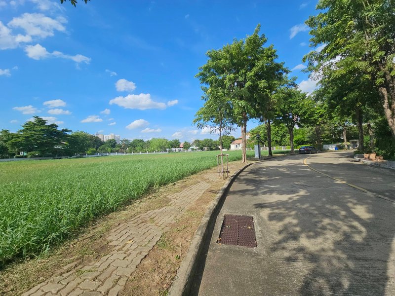 For SaleLandChaengwatana, Muangthong : Empty land for sale in the project Karuehaad Tayard Village, Tiwanon Road, near Muang Thong Thani, 2 rai 70.7 square wah (Karuehaad Tayard Village), Pak Kret, Nonthaburi