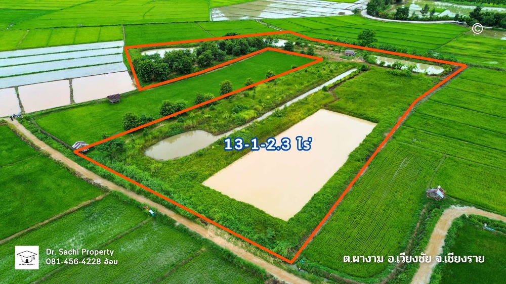 For SaleLandChiang Rai : Land for sale 13-1-2.3 rai, Doi Pha Chang view, Wiang Chai District, Chiang Rai Province.