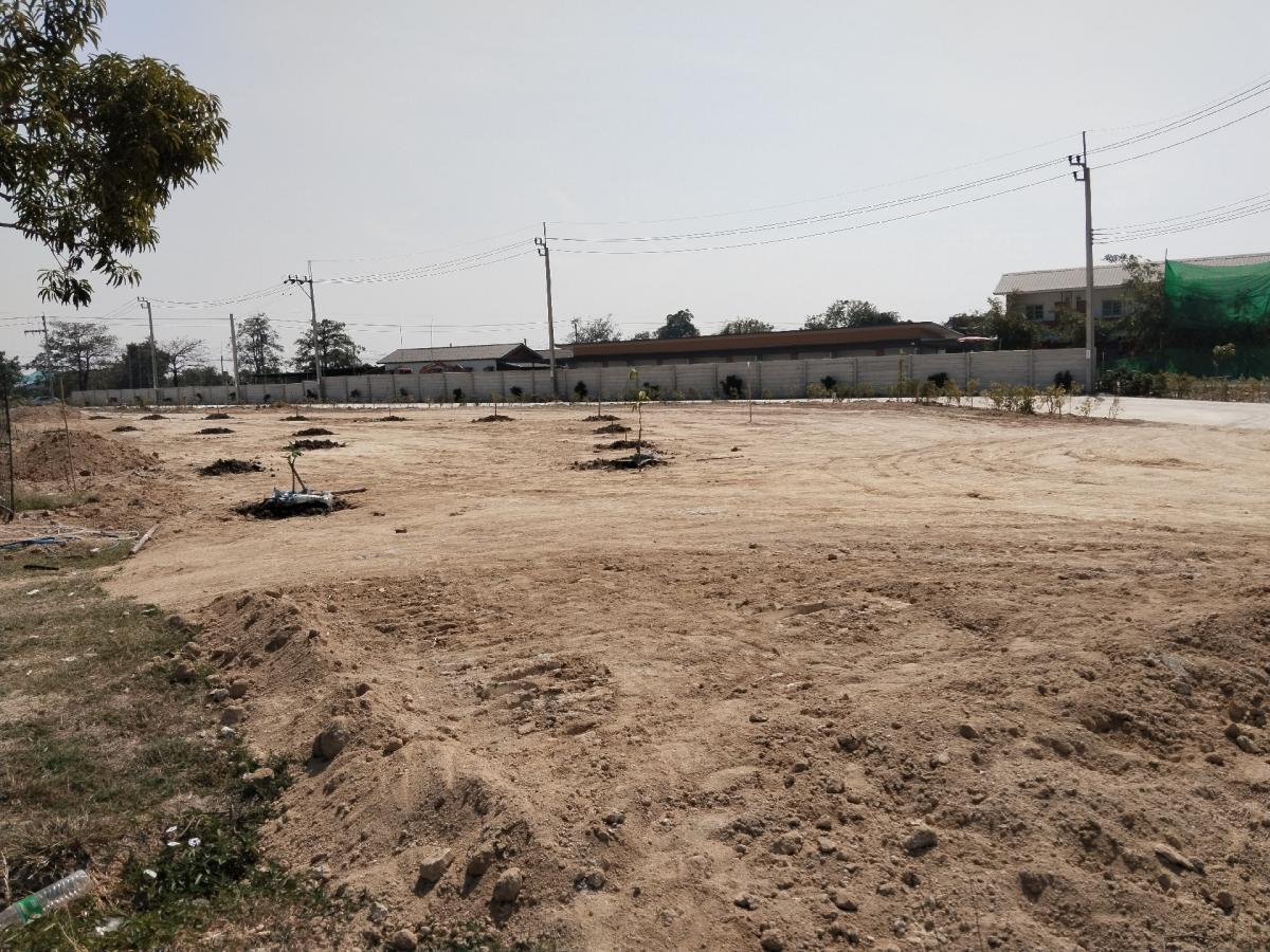 For RentLandSamut Prakan,Samrong : Land for rent 694.8 sq m., beautiful location. Its like being next to a main road. Long term or short term Width next to concrete road 134m.