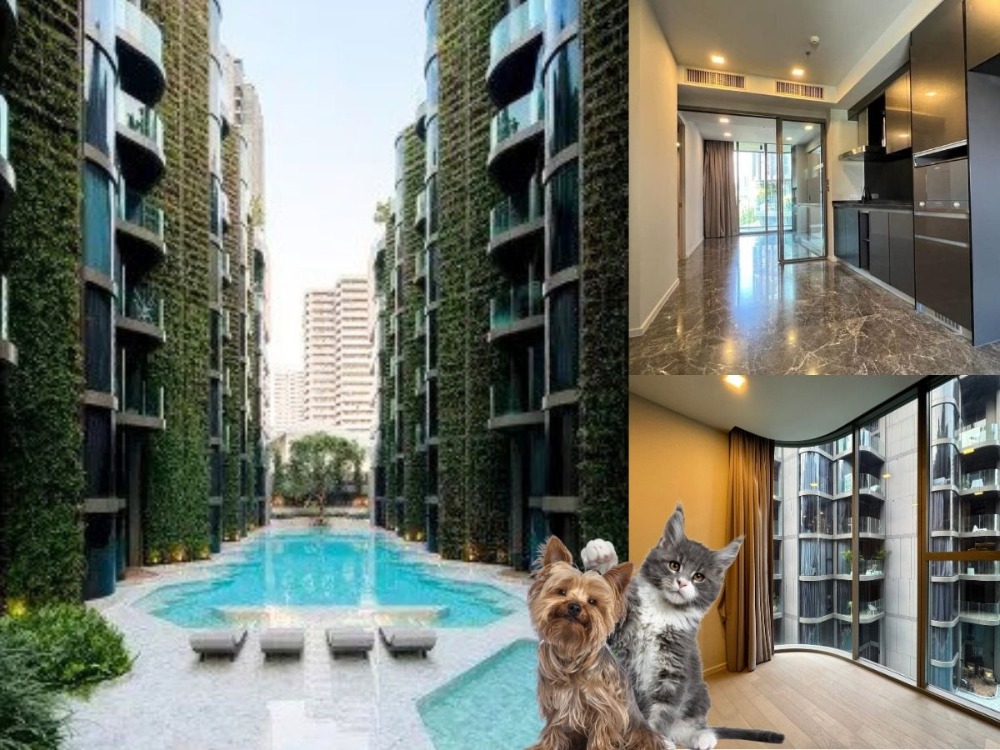 ขายคอนโดสุขุมวิท อโศก ทองหล่อ : ASHTON RESIDENCE 😺คอนโดหรู เลี้ยงสัตว์ได้ 2 ห้องนอน Layout กว้างเหมือนอยู่บ้าน