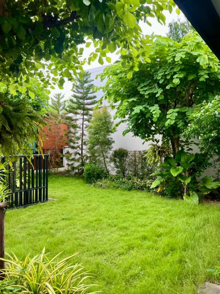 ให้เช่าบ้านบางนา แบริ่ง ลาซาล : ให้เช่า บ้านเดี่ยว มัณฑนา 2 บางนา กม.7 ติด MEGA บางนา 4 ห้องนอน 5 ห้องน้ำ สวนขนาดใหญ่