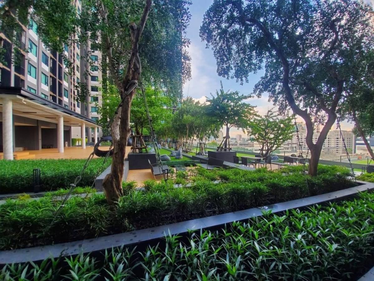 ให้เช่าคอนโดพระราม 9 เพชรบุรีตัดใหม่ RCA : 🔥ให้เช่าด่วน🔥Life Asoke เฟอร์นิเจอร์ครบ พร้อมเข้าอยู่ ใกล้ MRT เพชรบุรี❗