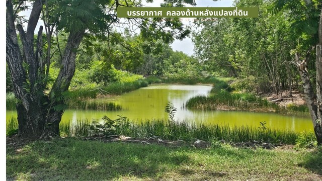 For SaleLandPathum Thani,Rangsit, Thammasat : Land for sale, 2-0-10 rai, with a beautiful water view at the back of the plot, Country Garden Project, Khlong Sam, Khlong Luang, Pathum Thani.