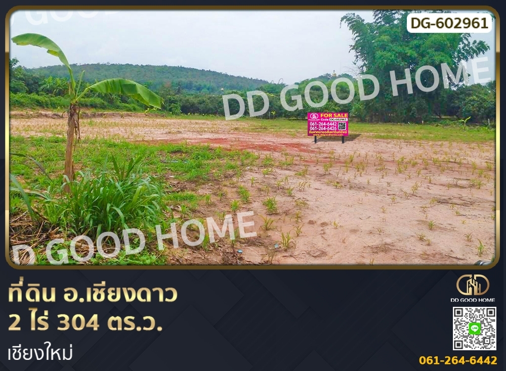 For SaleLandChiang Mai : Land for sale Chiang Dao District, 2 rai 304 sq w., Chiang Mai.