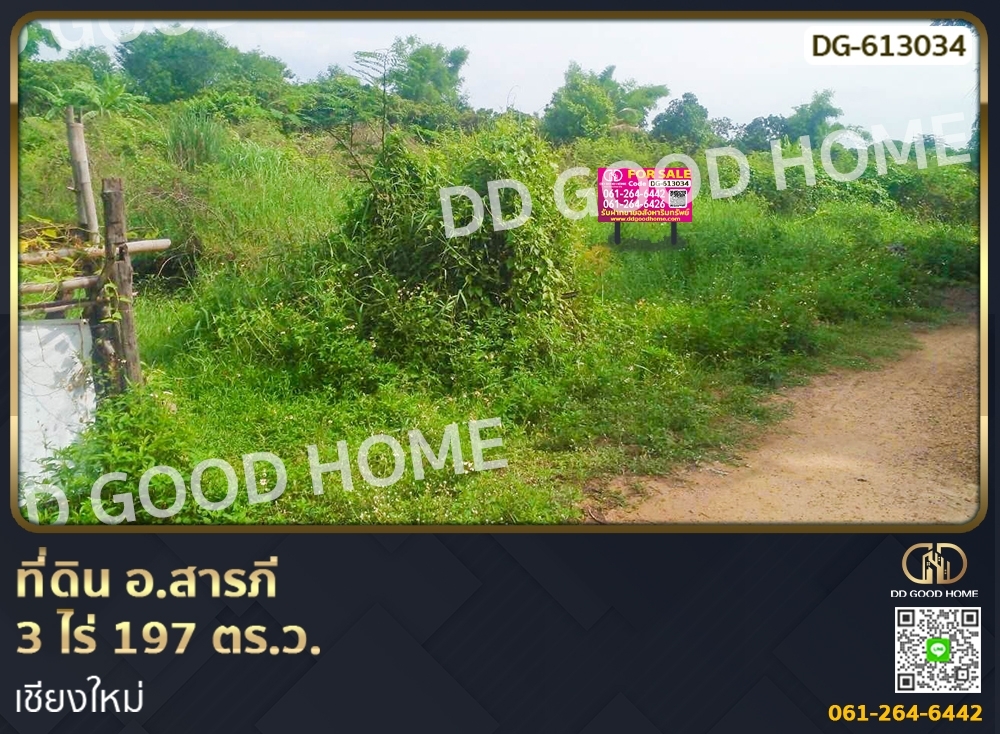 For SaleLandChiang Mai : Land for sale Saraphi District, 3 rai 197 sq w., Chiang Mai.