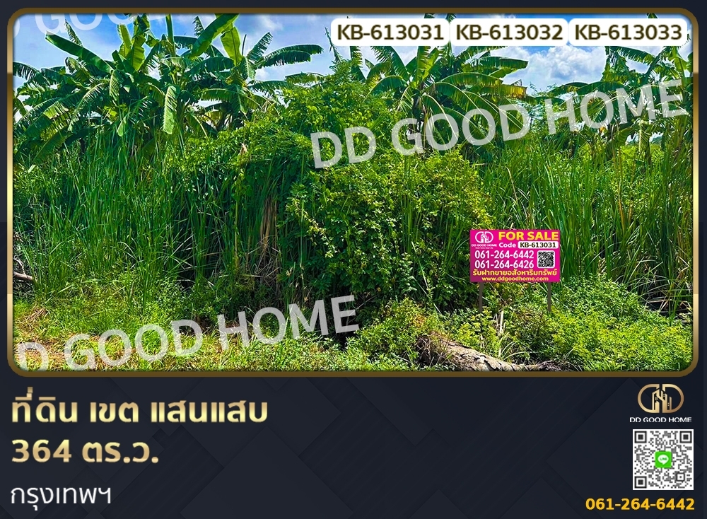 ขายที่ดินลาดกระบัง สุวรรณภูมิ : ที่ดิน เขต แสนแสบ 364 ตร.ว. กรุงเทพฯ