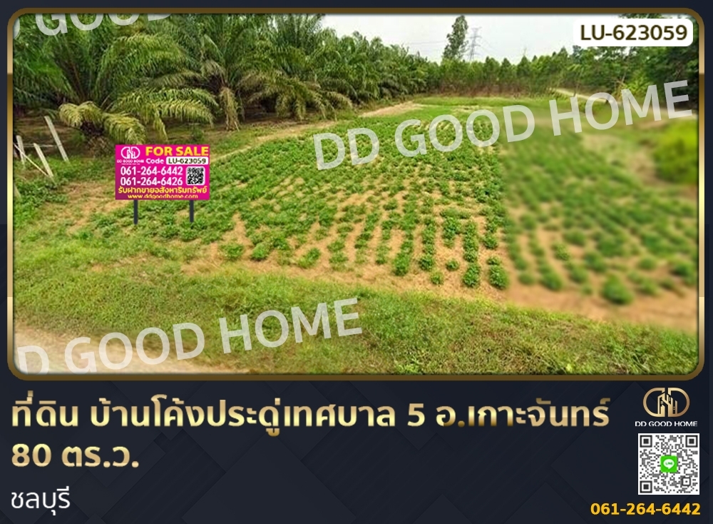 For SaleLandPattaya, Bangsaen, Chonburi : Land, Ban Khong Pradu, Thesaban 5, Ko Chan District, 80 sq w, Chonburi